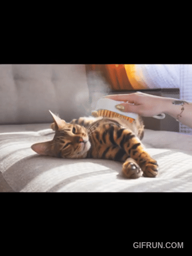 Charger la vidéo : 